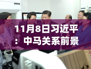 11月8日習(xí)近平：中馬關(guān)系前景光明 未來可期，11月8日習(xí)近平主席談中馬關(guān)系，未來光明，前景可期