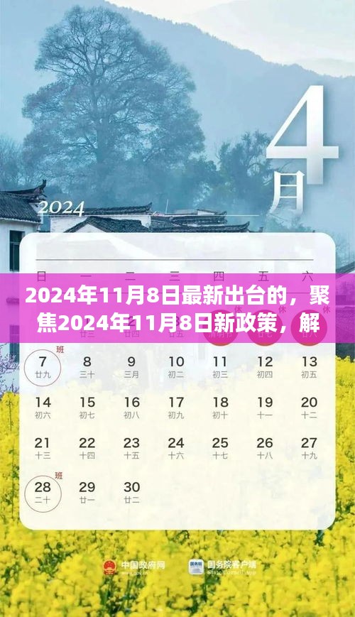 聚焦新政策，解讀三項(xiàng)要點(diǎn)出爐，洞悉未來(lái)趨勢(shì)——2024年11月8日最新政策解讀標(biāo)題