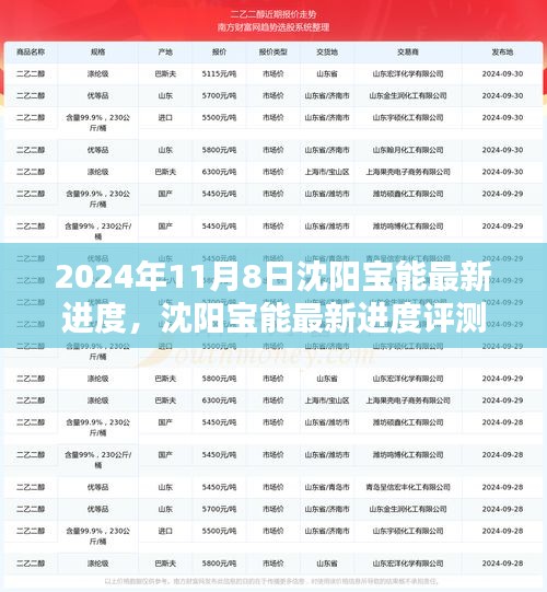 沈陽寶能最新進(jìn)度深度解析，產(chǎn)品特性與用戶體驗(yàn)評測報告