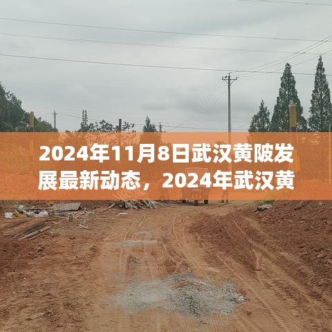 2024年武漢黃陂發(fā)展最新動態(tài)探索，融入?yún)^(qū)域發(fā)展大潮的步伐