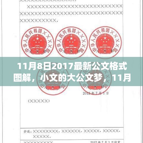 11月8日最新公文格式圖解，小文的大公文夢(mèng)與圖解之旅