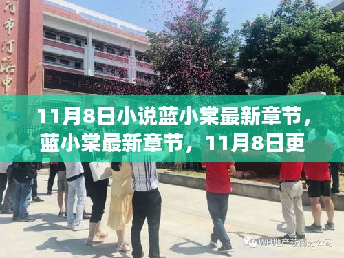 藍(lán)小棠最新章節(jié)更新概覽，11月8日之我見(jiàn)