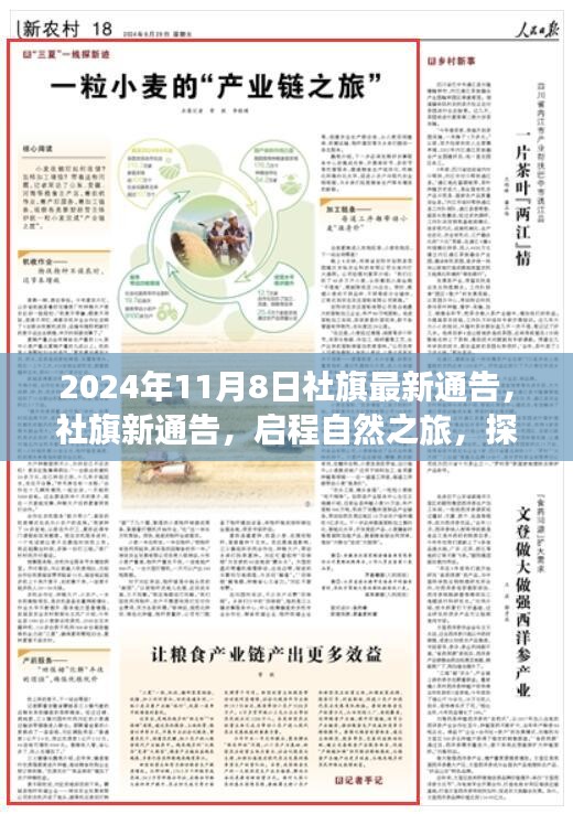 社旗啟程自然之旅，探尋內(nèi)心寧靜的秘密（最新通告）