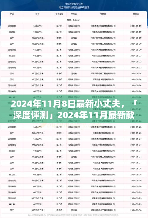 深度評(píng)測(cè)，全方位解析2024年最新款小丈夫產(chǎn)品特性與用戶(hù)體驗(yàn)體驗(yàn)報(bào)告