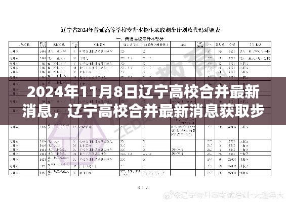 遼寧高校合并最新消息獲取指南，初學者與進階用戶適用，2024年高校合并最新動態(tài)揭秘