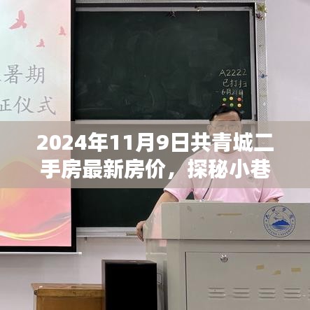 2024年共青城二手房最新房價揭秘，小巷特色小店探秘