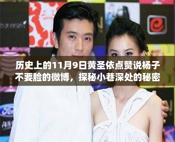 招標(biāo)采購 第211頁