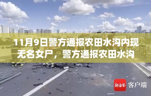 農(nóng)田水溝內(nèi)發(fā)現(xiàn)無名女尸事件，深度解析與評估的通報消息曝光