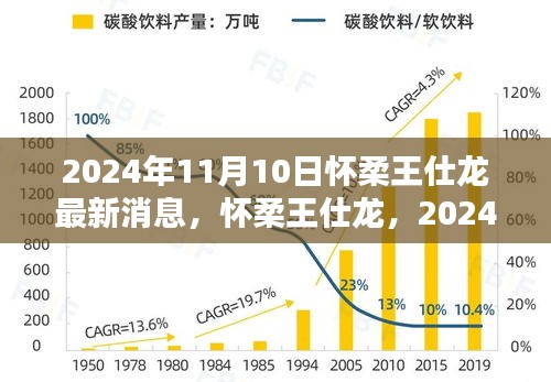 懷柔王仕龍最新動態(tài)與深遠影響力揭曉，2024年11月10日更新