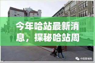 哈站周邊小巷隱藏一家特色小店，獨特環(huán)境驚艷亮相，等你來探秘！