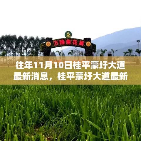 桂平蒙圩大道最新動(dòng)態(tài)獲取全攻略，輕松掌握最新消息動(dòng)態(tài)