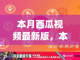 本月西瓜視頻最新版，全新體驗(yàn)與功能升級(jí)指南