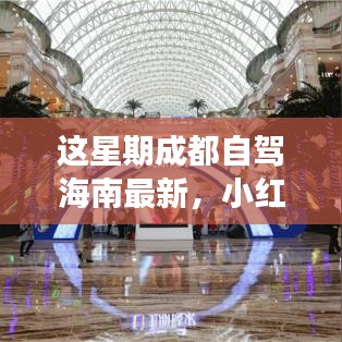 招標(biāo)采購 第210頁