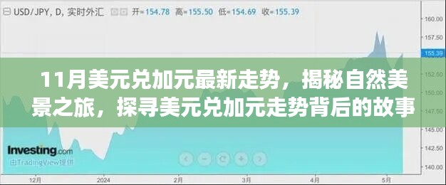 揭秘美元兌加元走勢背后的故事，自然美景之旅啟程，探尋內(nèi)心的寧靜與平和之旅