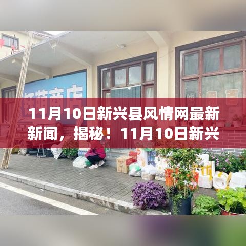 獨(dú)家揭秘，新興縣風(fēng)情網(wǎng)小巷深處的隱藏美食，獨(dú)特小店美味探險(xiǎn)之旅
