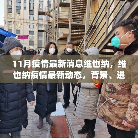 維也納疫情最新動態(tài)，背景、進展與影響概述