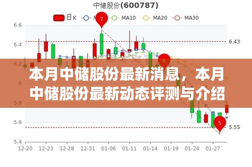 本月中儲股份最新動態(tài)，評測與詳細介紹
