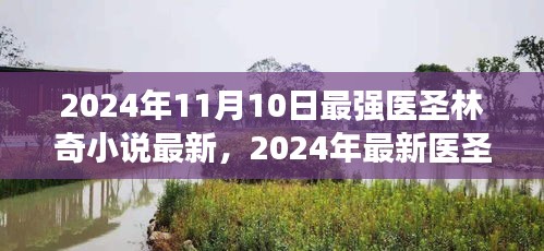 最強醫(yī)圣林奇小說閱讀攻略，獲取最新章節(jié)的實用指南