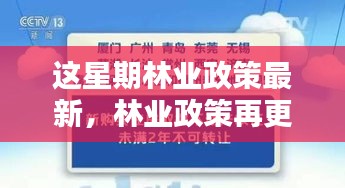 林業(yè)政策最新動(dòng)向，本周更新及其時(shí)代影響力分析