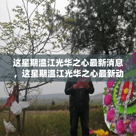 溫江光華之心最新動態(tài)及消息，一站式獲取信息的全面指南