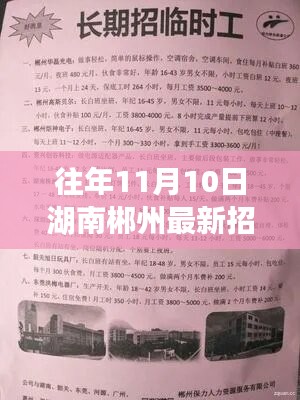 湖南郴州最新招聘信息概覽，往年11月10日求職熱點(diǎn)揭秘