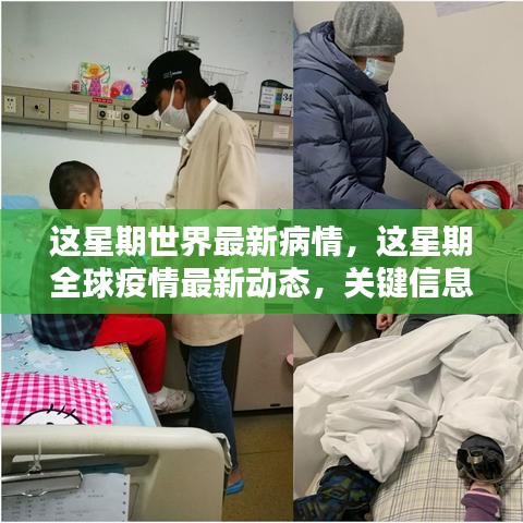 全球疫情最新動態(tài)，本周關(guān)鍵信息與案例分析匯總報告