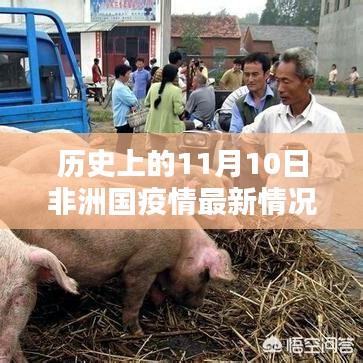 造價咨詢 第204頁