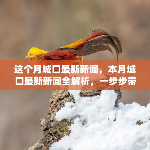本月城口最新新聞解析，掌握獲取新聞資訊的技能
