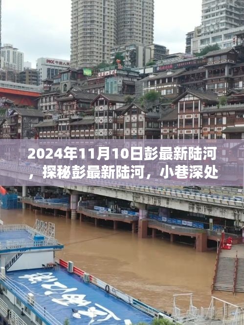 探秘彭最新陸河，小巷深處的味覺奇遇之旅（2024年11月10日）