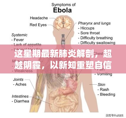 超越陰霾，最新肺炎解剖啟示錄，重塑信心與新知的探索