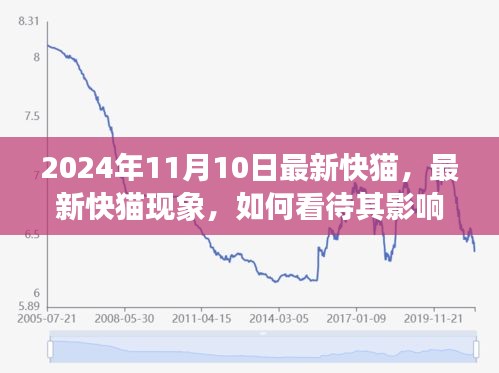 最新快貓現(xiàn)象，影響與未來發(fā)展觀察（2024年觀察點）