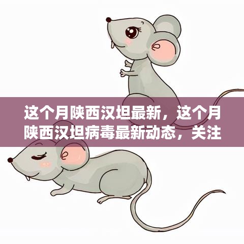 政策法規(guī) 第210頁