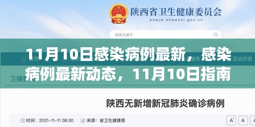 11月10日感染病例最新動(dòng)態(tài)，獲取準(zhǔn)確信息及應(yīng)對(duì)技能的指南