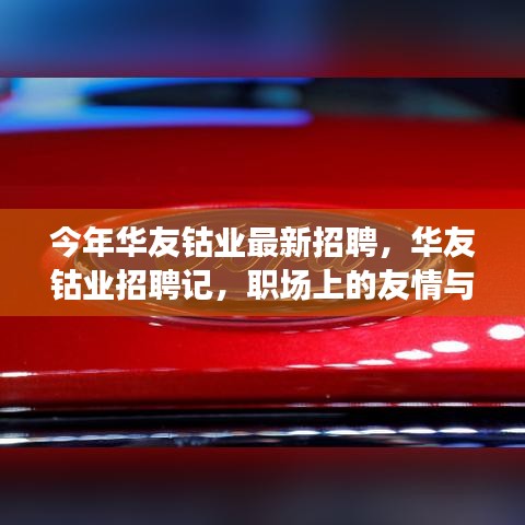 華友鈷業(yè)最新招聘探秘，職場友情與家的溫馨融合