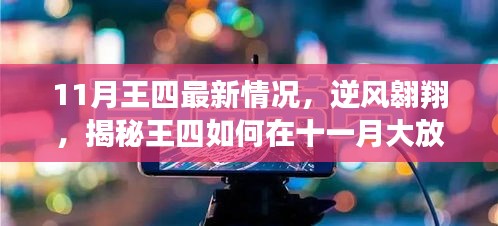 揭秘王四11月逆風翱翔之路，如何大放異彩，你也可以閃耀光芒？