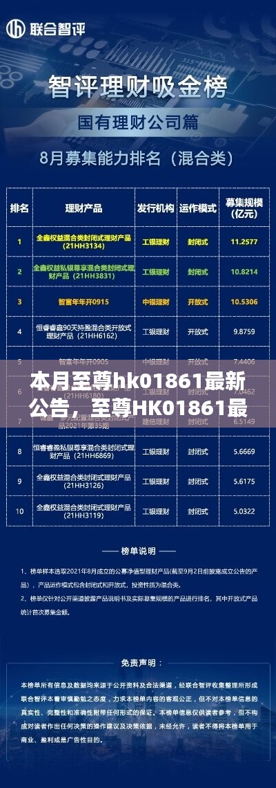 至尊HK01861最新公告揭秘，背景、重大事件與領(lǐng)域地位的回顧與展望