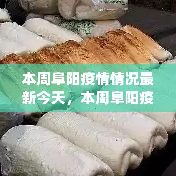 本周阜陽疫情最新動態(tài)，今日疫情分析、防控成效與多方觀點(diǎn)聚焦