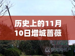 歷史上的11月10日增城薔薇國(guó)際房?jī)r(jià)揭秘，最新價(jià)格一覽表！