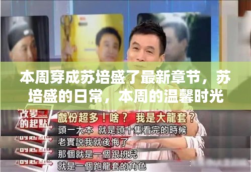 本周蘇培盛的日常，溫馨時光與友情紐帶最新章節(jié)發(fā)布