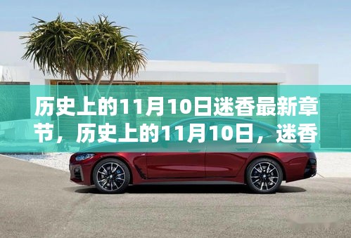 歷史上的11月10日迷香揭秘，最新章節(jié)一覽
