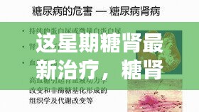 糖腎最新治療進(jìn)展，本周小糖治愈周記，糖腎之光照亮希望之路
