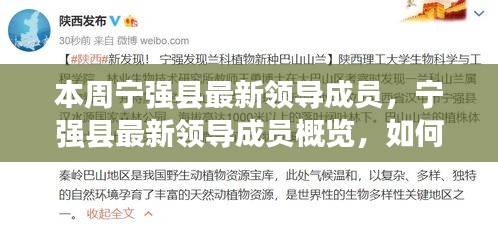 寧強(qiáng)縣最新領(lǐng)導(dǎo)成員概覽，本周新任領(lǐng)導(dǎo)信息指南