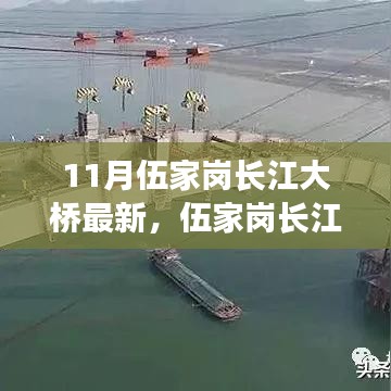 伍家崗長(zhǎng)江大橋最新評(píng)測(cè)，特性、使用體驗(yàn)與目標(biāo)用戶分析揭秘
