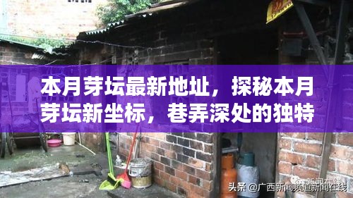 探秘本月芽壇新坐標(biāo)，巷弄深處的獨(dú)特小店最新地址揭秘
