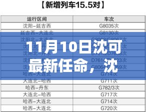 沈可新任命的背后，背景、影響與時代地位分析（最新更新）