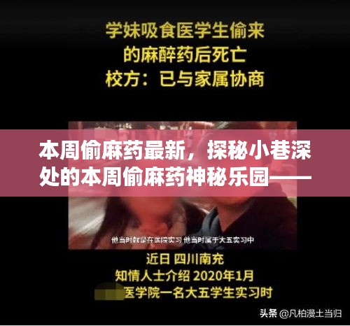 探秘隱藏版特色小店，本周偷麻藥神秘樂園的獨特魅力