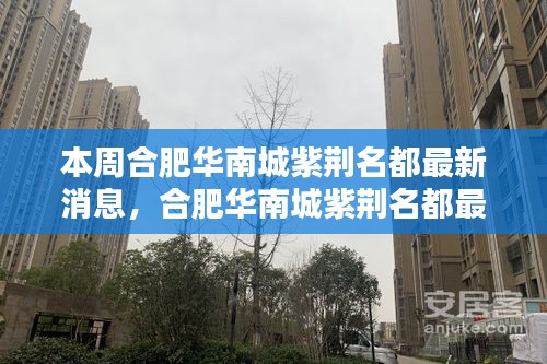 合肥華南城紫荊名都最新動態(tài)速遞，掌握最新消息的步驟指南