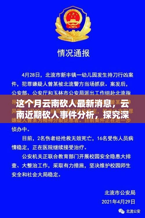 云南砍人事件最新消息，深層原因探究與各方觀點分析