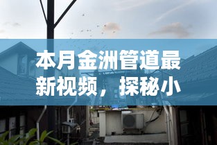 探秘小巷深處的金洲管道傳奇，最新視頻展現(xiàn)獨(dú)特風(fēng)情