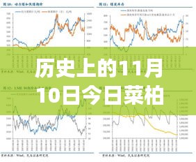 歷史上的11月10日，菜柏價格背后的勵志故事與最新行情，自信成就感的源泉